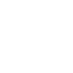 体制作り支援